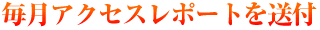 毎月アクセスレポートを送付